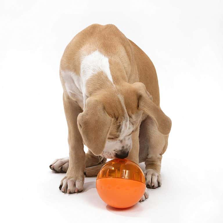 OurPets IQ Treat Ball