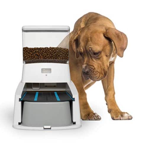 Wagz Smart Dog Feeder