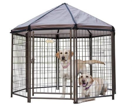 Dog Outdoor Gazebo