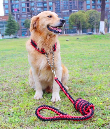 JRPets Dog Leash