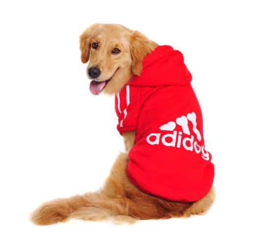 Adidog Hoodie