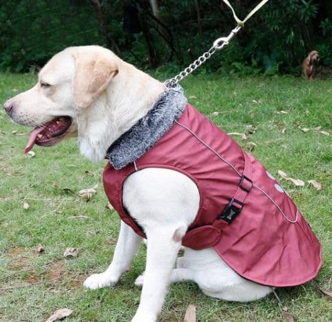 Waterproof Winter Vest
