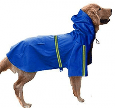 Dog Raincoat