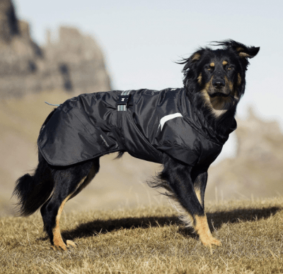 Hurtta Dog Parka