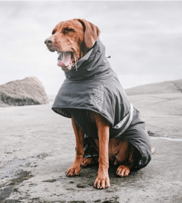 Hurtta Winter Jacket