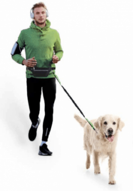 Hands Free Dog Leash