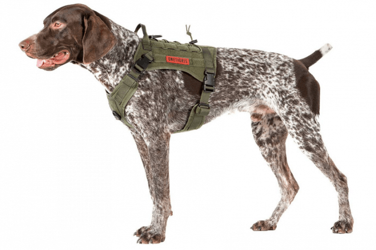 OneTigris Tactical Harness