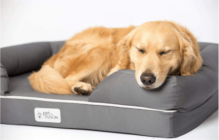 Orthopedic Dog Bed