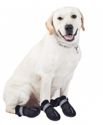 Pro Plums Waterpoof Dog Booties