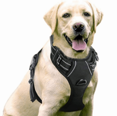 Outdoor Harness