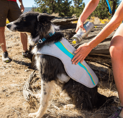 Ruffwear Cooling Vest