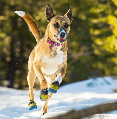 RUFFWEAR Polar Trex