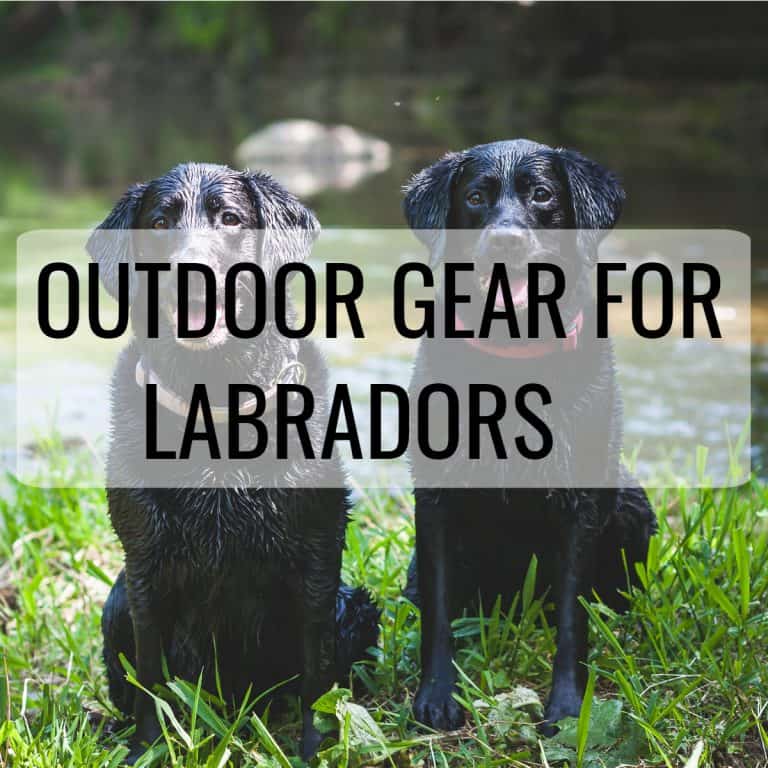OUTDOOR GEAR FOR LABRADORS