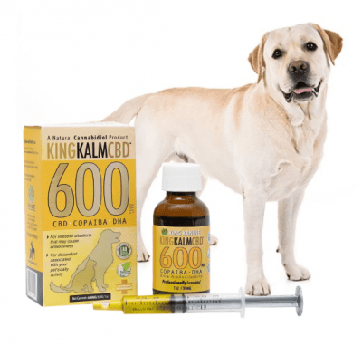 CBD Oil for Labradors - King Kanine