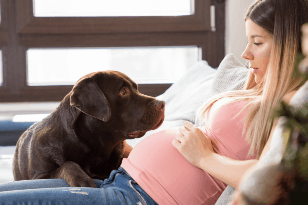 are labradors good family dogs?